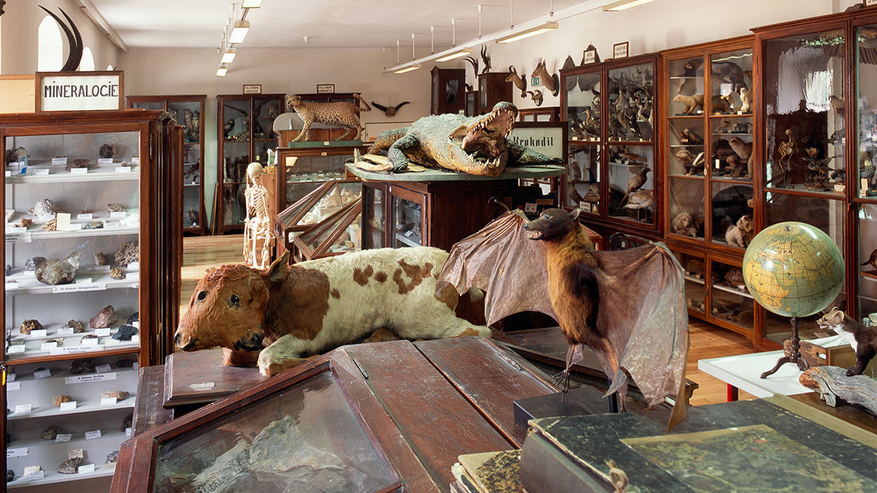 Bischöfliches Institut Vinzentinum