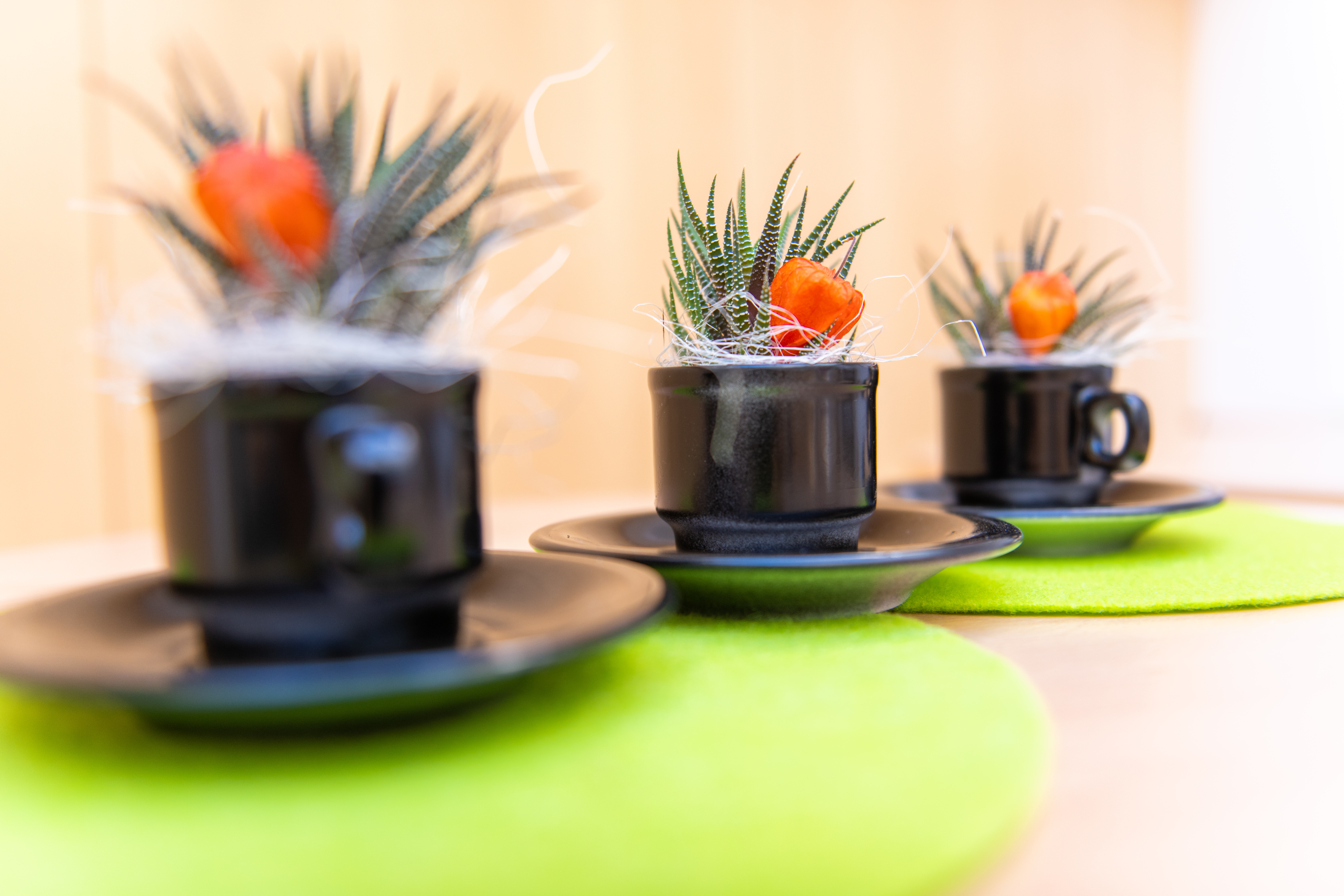 Fachschule für Hauswirtschaft und Ernährung Kortsch