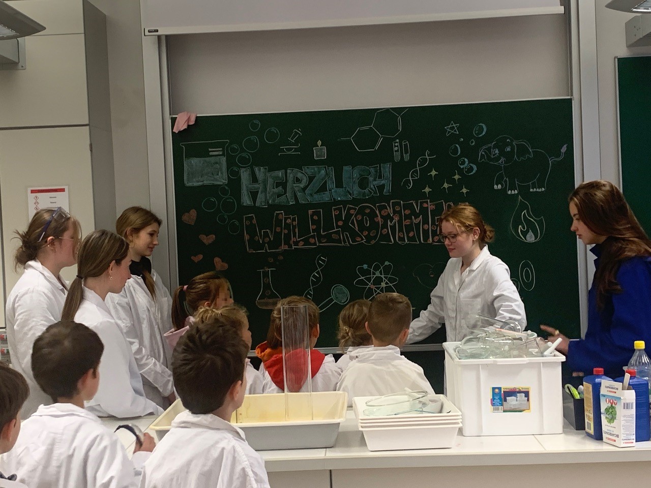 Klassisches, Sprachen- und Kunstgymnasium mit Landesschwerpunkt Musik 'Walther von der Vogelweide'