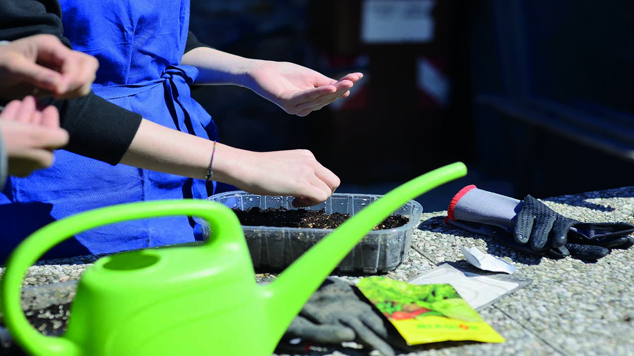 Fachschule für Hauswirtschaft und Ernährung Neumarkt