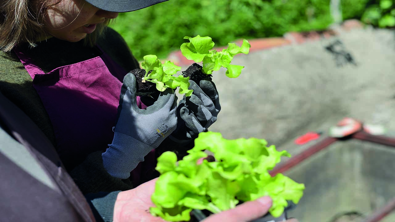 Fachschule für Hauswirtschaft und Ernährung Neumarkt