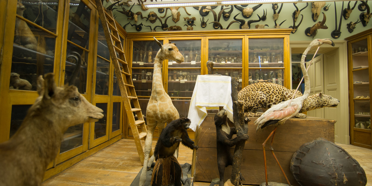 Franziskanergymnasium Bozen