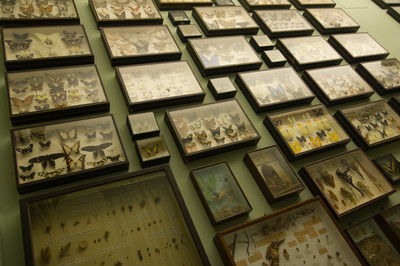 Franziskanergymnasium Bozen