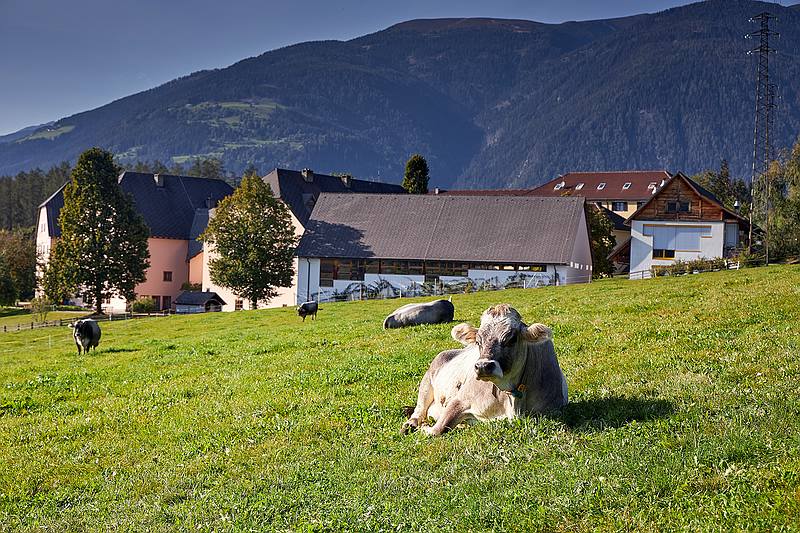 Fachschule Dietenheim