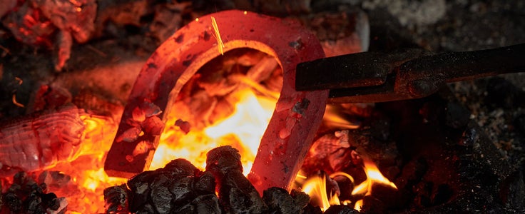 Fachschule Dietenheim