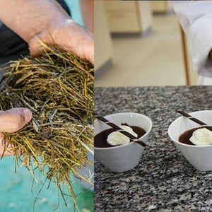 Fachschule Dietenheim