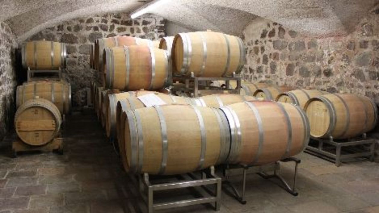 Fachoberschule für Landwirtschaft Auer