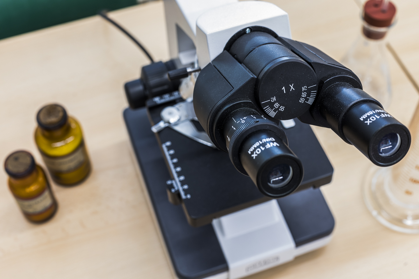 Liceo Linguistico Sperimentale L.E.O. 'Marcelline' Bolzano