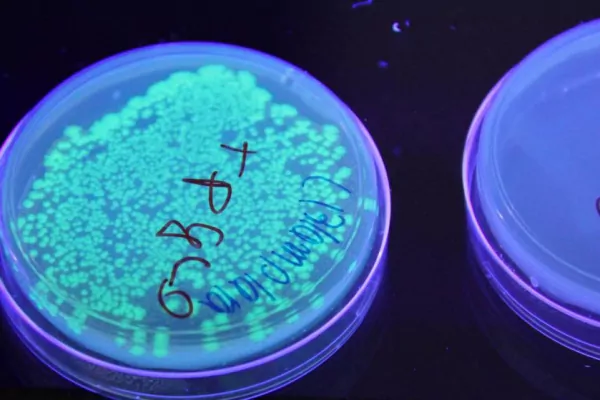 Technologische Fachoberschule Bruneck